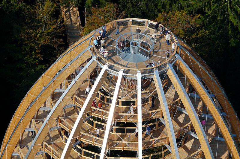 Illustration for article titled Germany's new 18-story Tree Top Walk is shaped like a giant egg